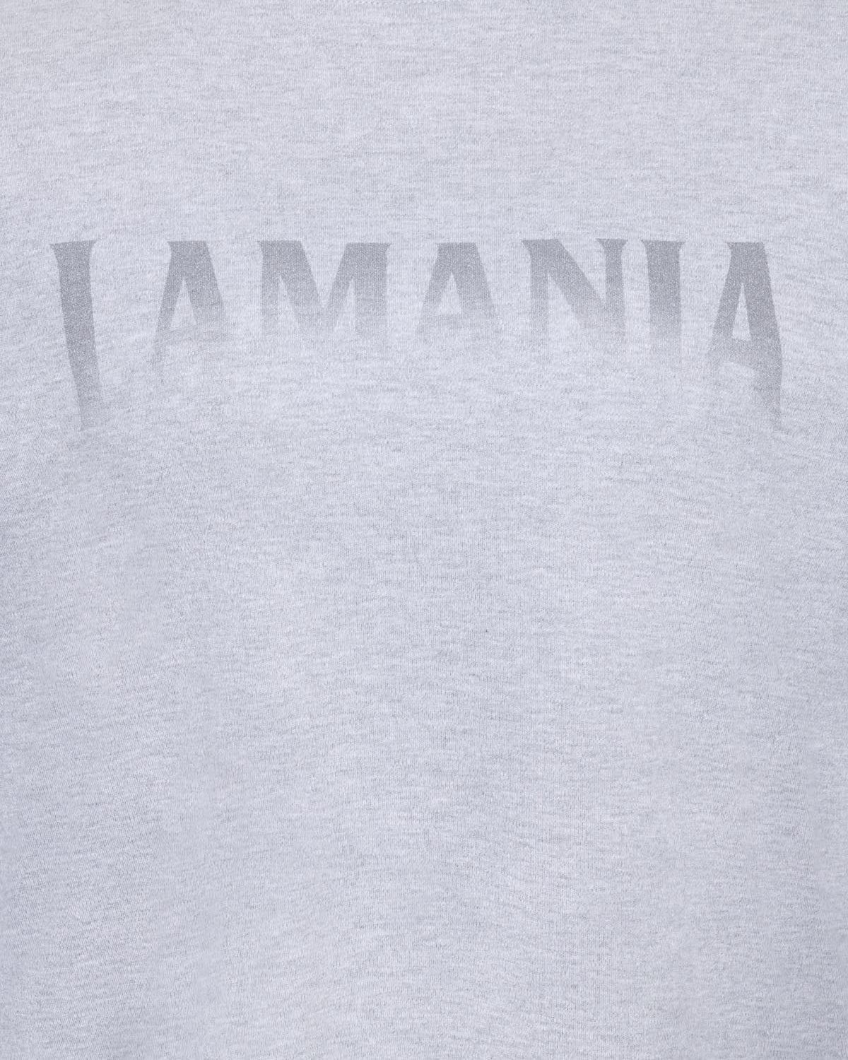 T-SHIRT DEVONTE GREY MELANGE